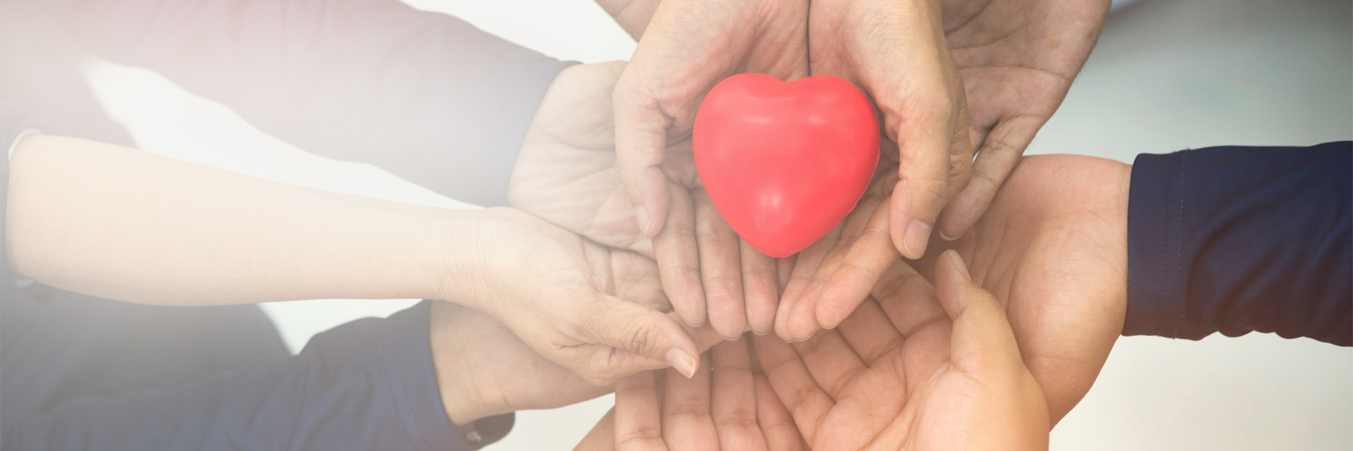 Image showing a close up of many hands holding a heart