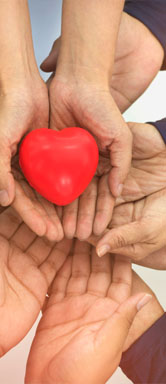 Image showing a close up of many hands holding a heart