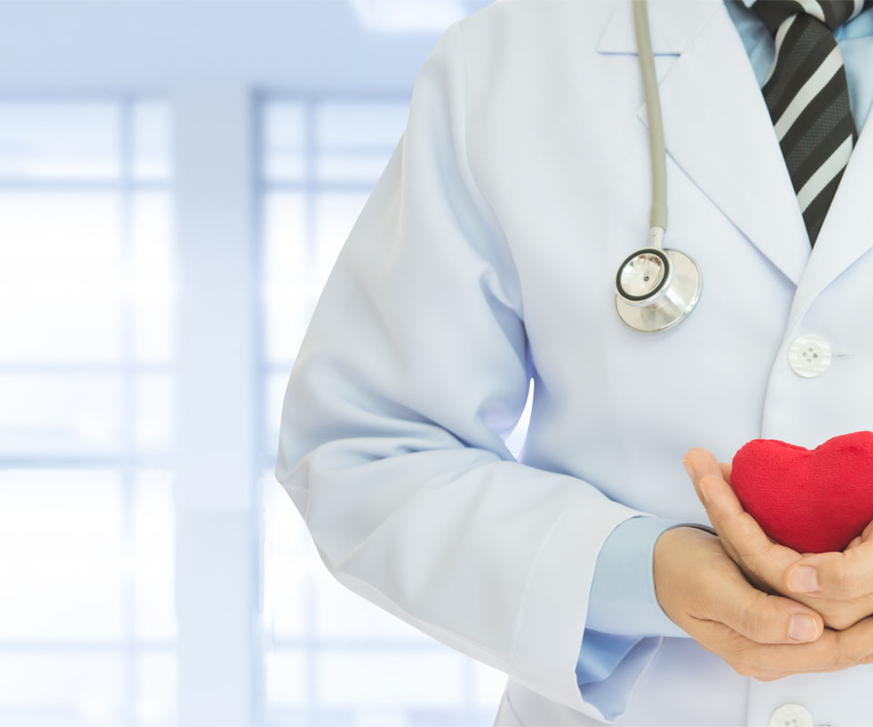 Image showing a close up of a doctor holding a model heart
