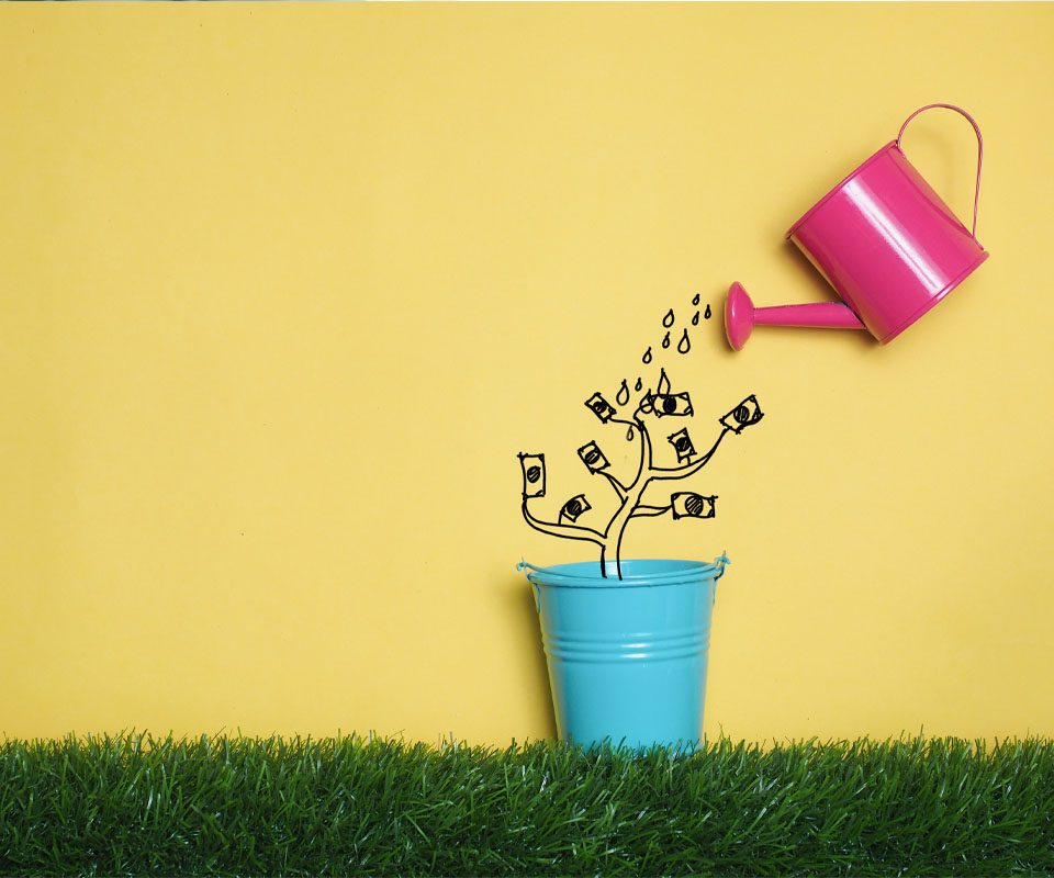 Image showing a plant pot being watered by a watering can and a drawing of a plant growing from it