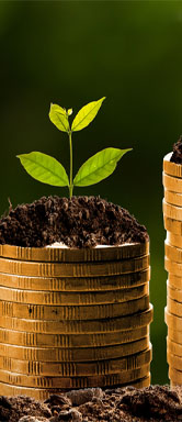 Image showing piles of coins with growing plants on top, each getting progressively taller