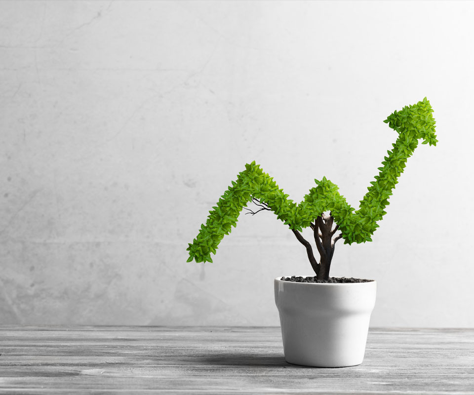 Image showing a small potted plant in the shape of an investment arrow